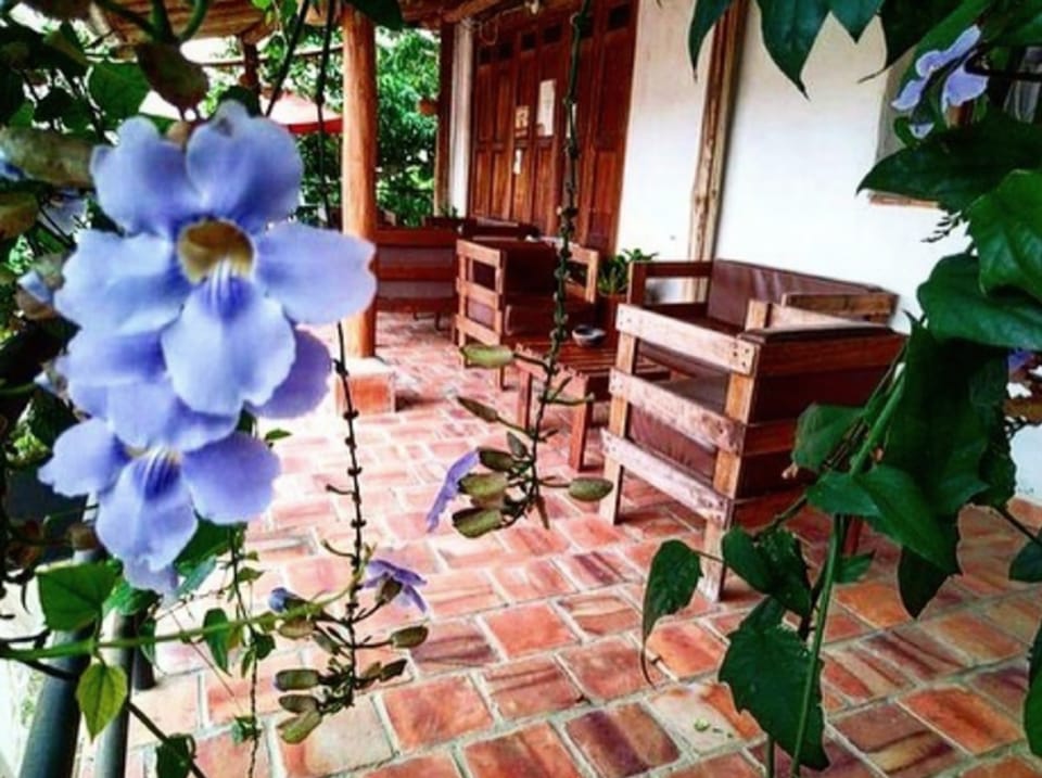 Corredor con piso de baldosa de barro, sillas y bancas de madera y puertas de madera; en primer plano, flores azul lavanda de una enredadera.